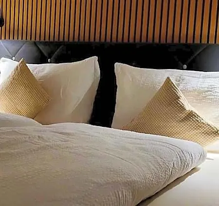 Moselvilla No 7 Otel 3*